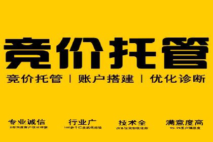谷歌SEM广告投放案例：提升转化率秘诀